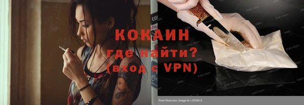гидра Белокуриха