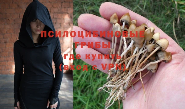 гидра Белокуриха