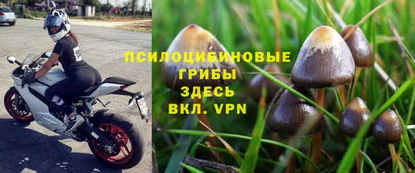 гидра Белокуриха