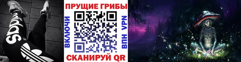 Псилоцибиновые грибы мицелий  Купить  Новая Ладога 
