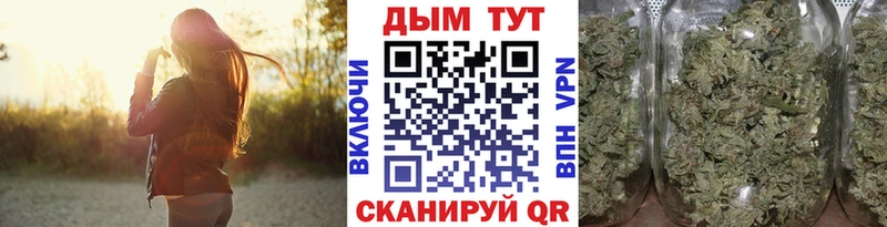 Канабис план  Купить закладки  Новая Ладога 